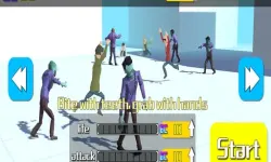 Private Zombie Town image