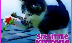 Six Little Kittens image