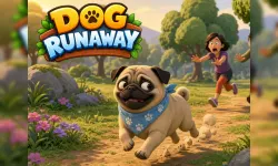Dog Runaway image