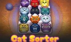 CatSorter Puzzle image