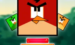 Jewel And Crazy Birds image