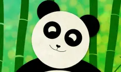 Panda Slide image