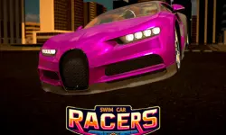 Swim Car Racers image