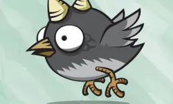 Bird Trap Dx image
