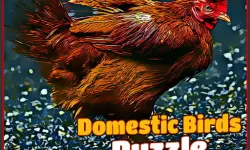 Domestic Birds Puzzle image