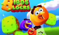 Birds VS Blocks image