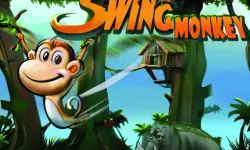 Monkey Swing image