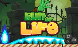 Run of Life Game image