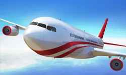 Game Flight Simulator 3D image