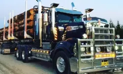 American City Truck Transporting image