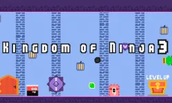 Kingdom of Ninja 3 image