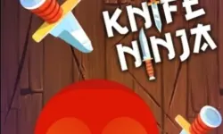 Knife Ninja image