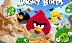 Angry Bird Jungle image