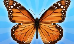 MergeButerfly: 2048! image