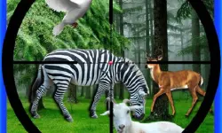 Real Jungle Animals Hunting image