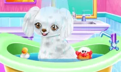 My New Poodle Friend image