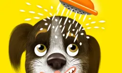 Happy Bath image