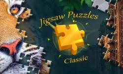 Jigsaw Puzzles Classic image