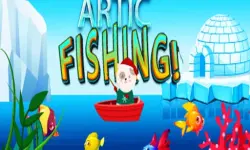 Artic Fishing image