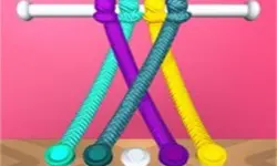 Tangle Master 3D image