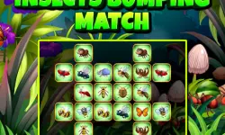 Insects Bumping Match image