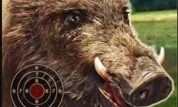 BOAR HUNTING JIGSAW image