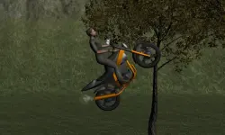 Mountain Bike Rider image