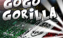 Go Go Gorilla image