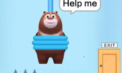 Save The Bear image