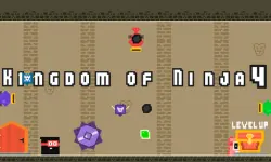 Kingdom of Ninja 4 image