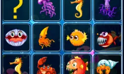 Sea Creatures Cards Match image