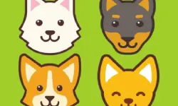 Dog Sitter image