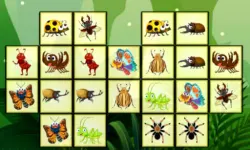 Connect The Insects image