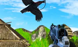 Chicken and Crow Shoot image