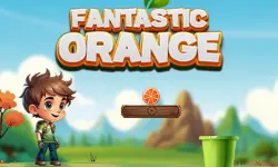 Fantastic Orange image