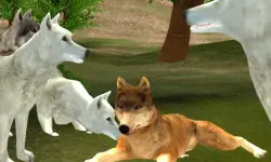 Wild Wolves image
