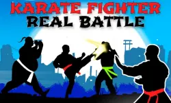 Karate Fighter : Real battles image