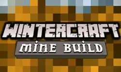 Winter Craft image