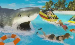 LA Shark image