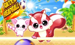 Racoon Headball image