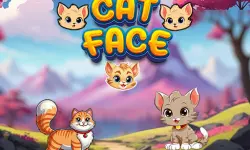 Cat Face image