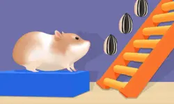 Hamster Stack Maze image