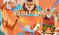 Viking puzzle image
