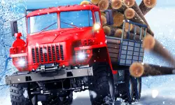 Truck Driver Snowy Roads image