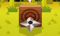 Ninja Dart image