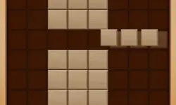 Wood Block Puzzle 2 image