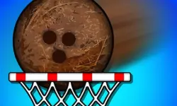 Super coconut Basket image