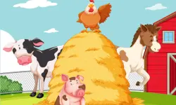 Farm Puzzle image