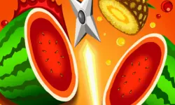 Fast Fruit Master image