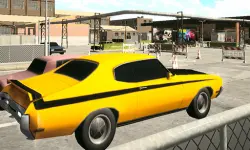 Car Driving image